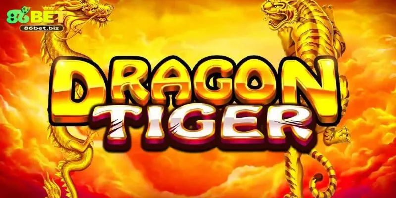 Những Lưu Ý Khi Chơi Dragon Tiger 86bet